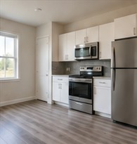Clean apartment kitchen with wood-look flooring