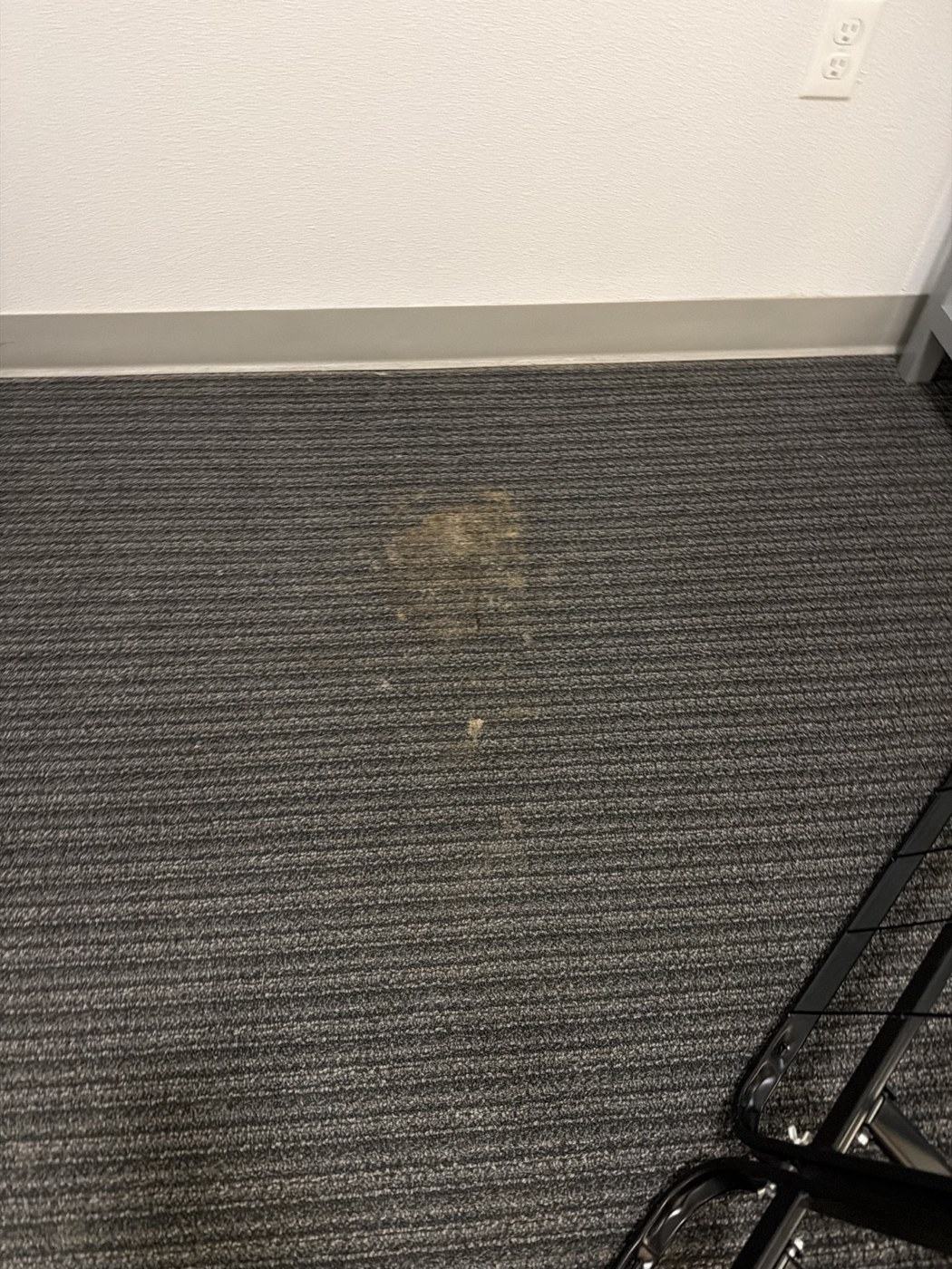 Carpet with a visible spot before cleaning