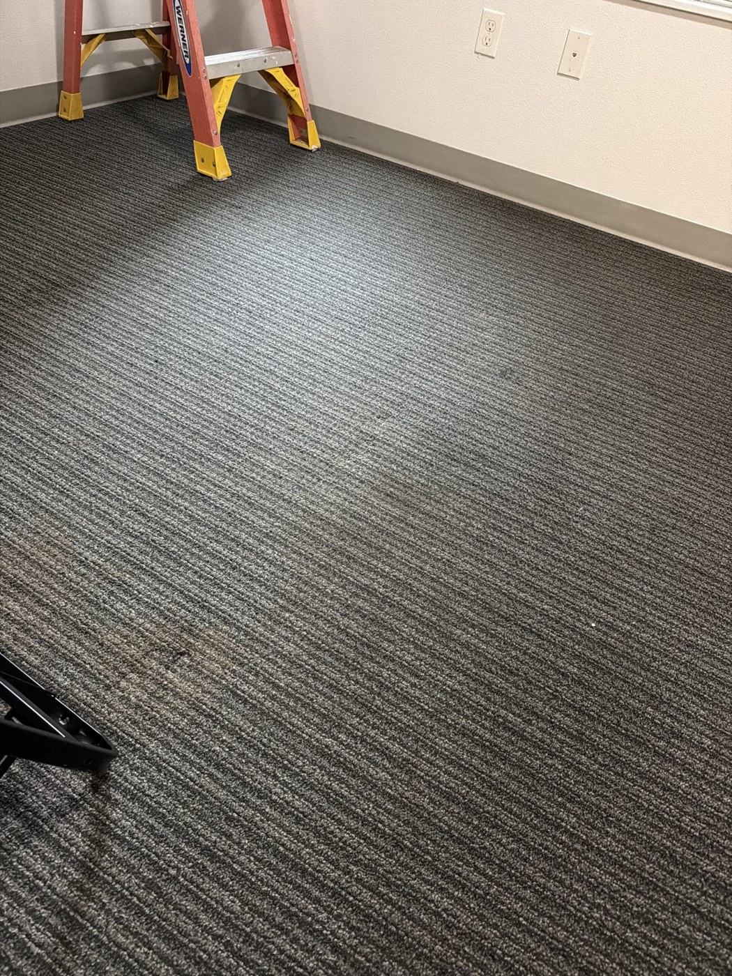 Wider view of carpet beside the room wall